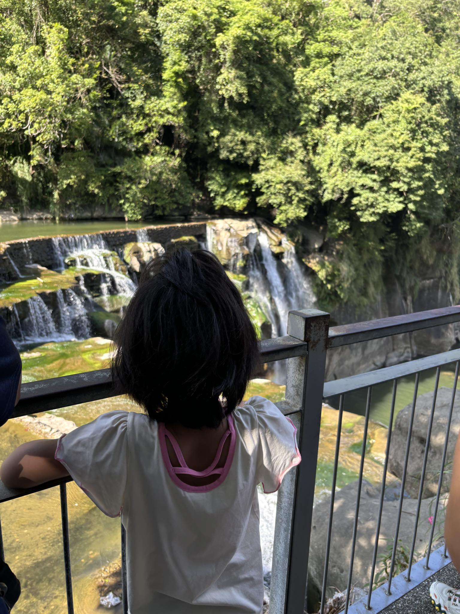 �p���Y��Q���r���C